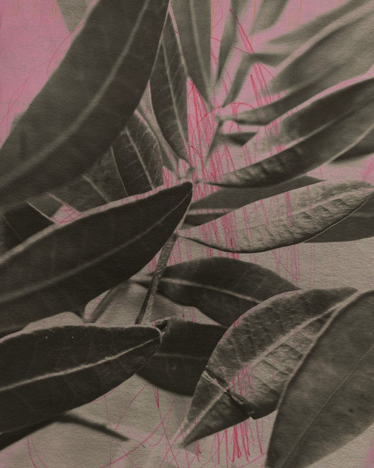 Пробуждение. Visual artist