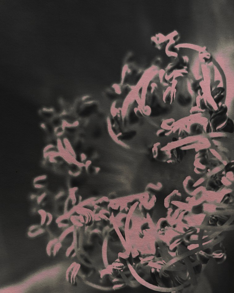 Пробуждение. Visual artist