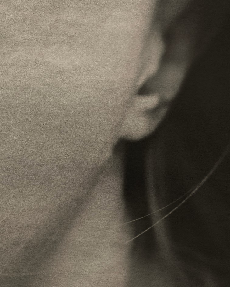 Пробуждение. Visual artist