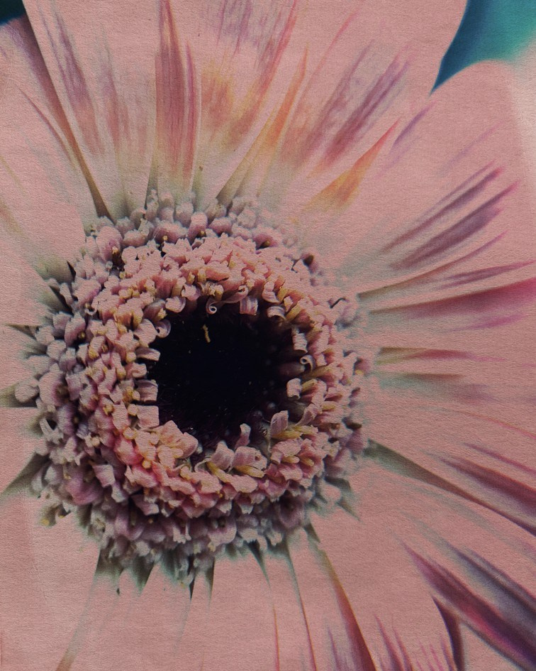 Пробуждение. Visual artist