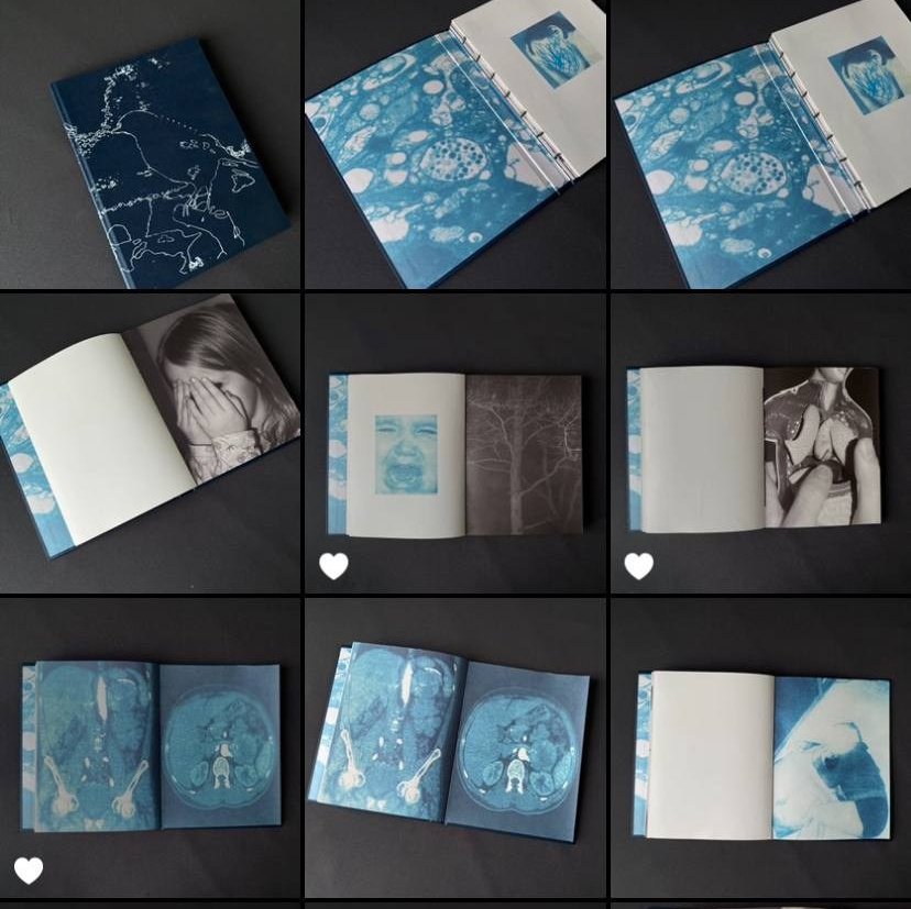 Лаборатория авторской фотокниги (апрель–май). Самоорганизация Низина