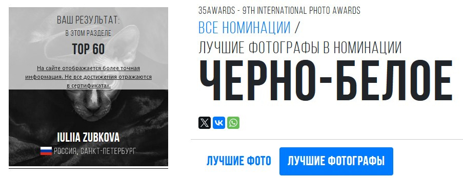 Мои достижения. Фотограф-анималист Юлия Зубкова