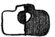 vedeninaphotography.com