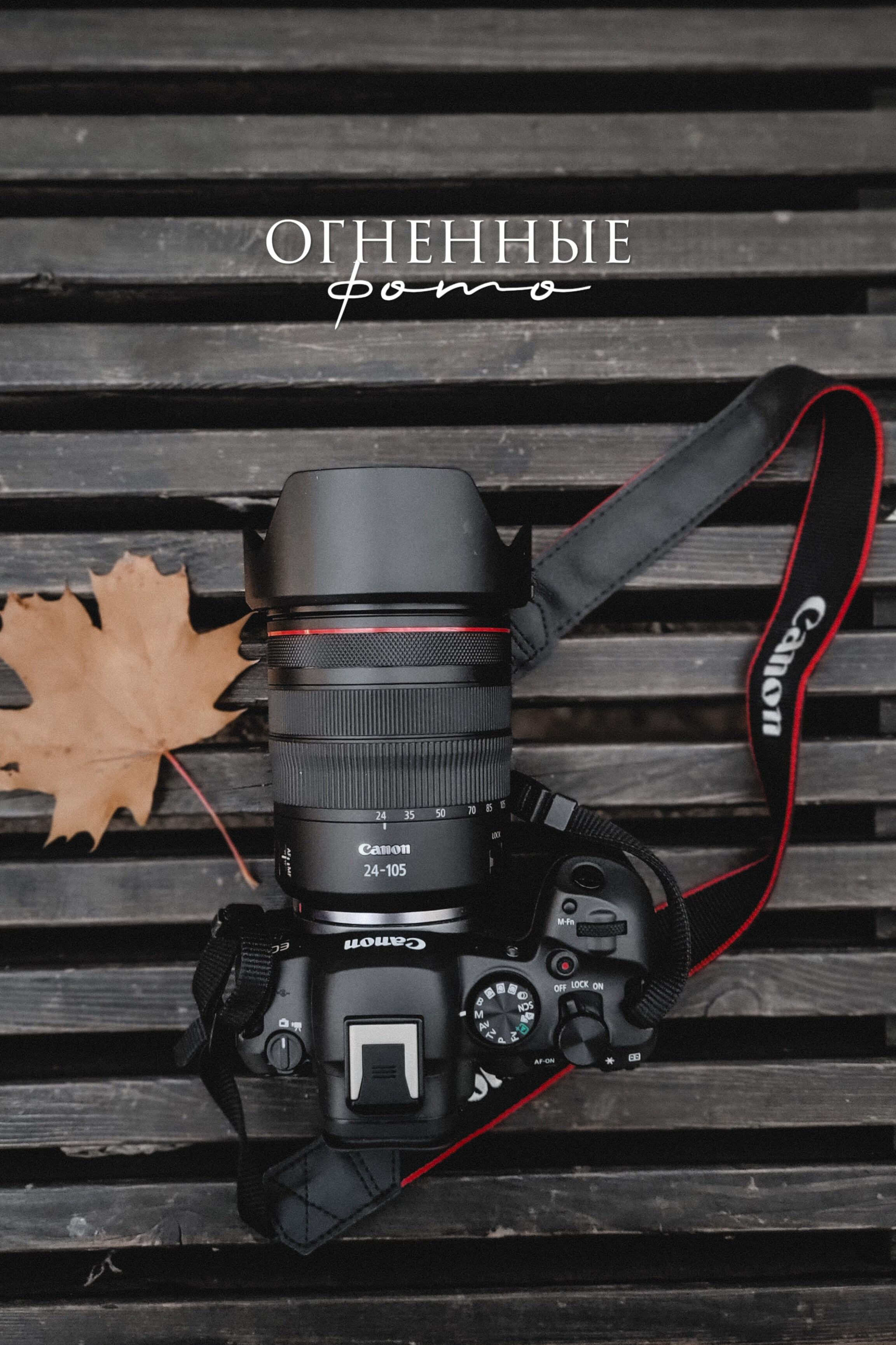 Олеся Шатохина Фотограф Солнечногорск Зеленоград Клин Фотосессия