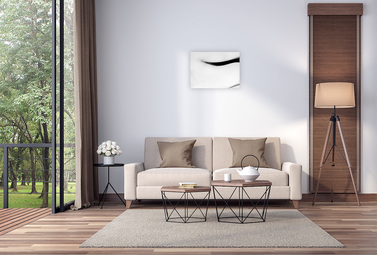 Buy A limited edition book of nude photographs and art prints by Anna. Anna Laza Art photographer