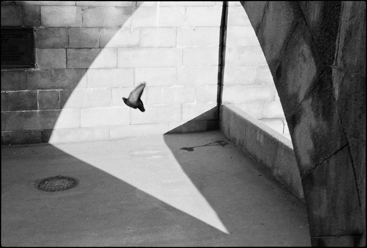 Юрий Нездойминога. Фотострелка