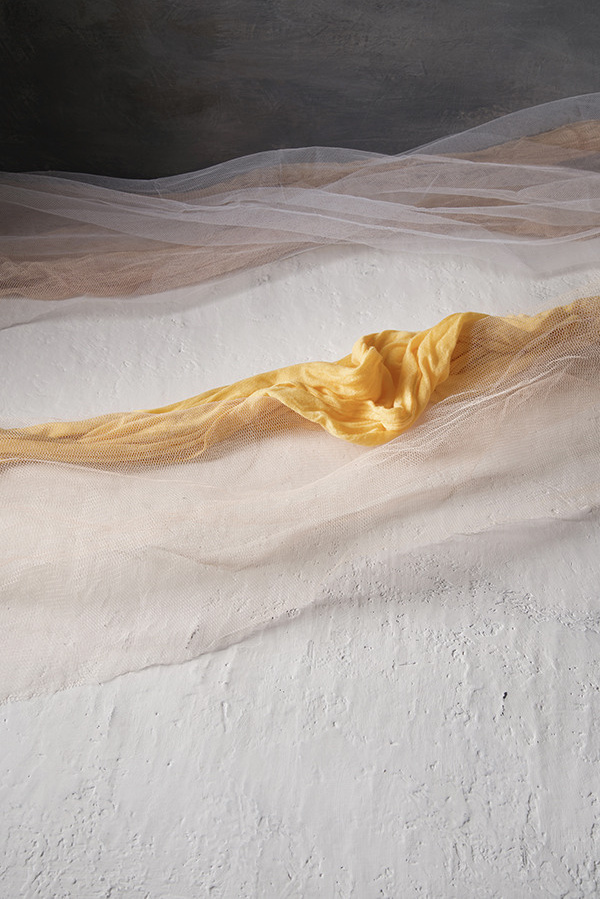 Alexey Divnich — Official Website