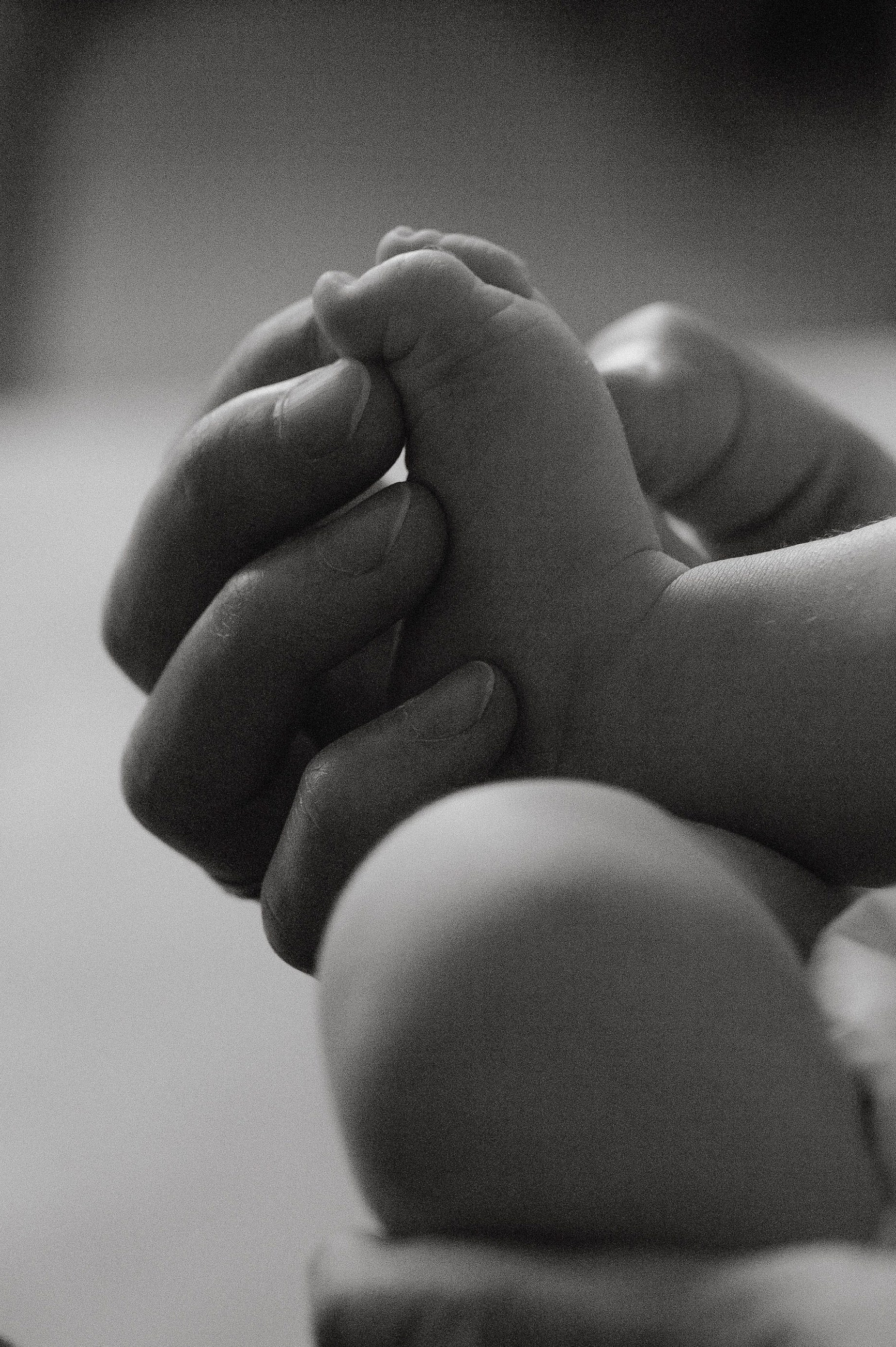 Онлайн продукты. Фотограф беременных, лайфстаил фотограф, Ньюборн фотограф, все включено