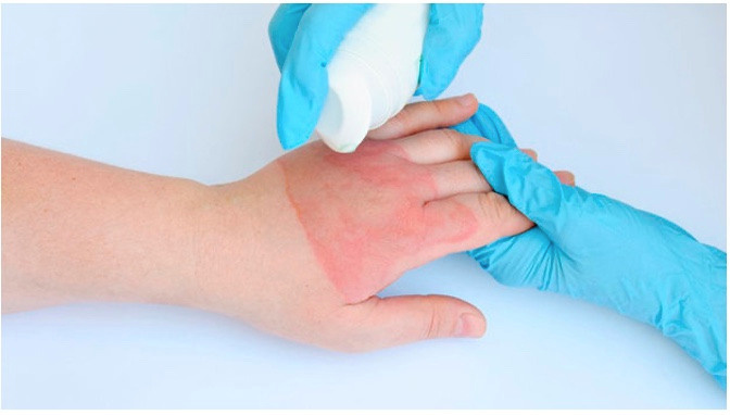 Коллаген из Азовских медуз. Главная