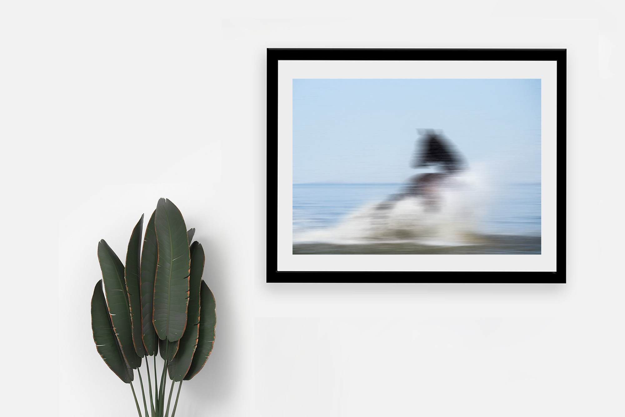 фото для интерьера, отпечаток, авторская фотография, купить отпечаток, купить фотографию, фото лошадей, фото лошади, красивые лошади, принт, цифровой отпечаток