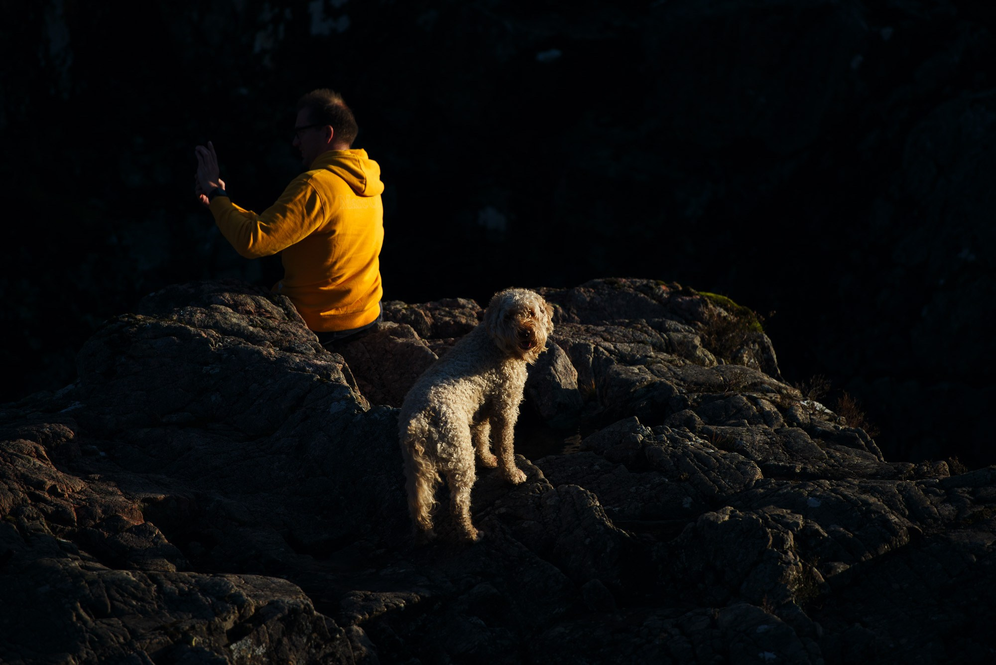 Арт-фотограф Талилула: портреты питомцев в Санкт-Петербурге