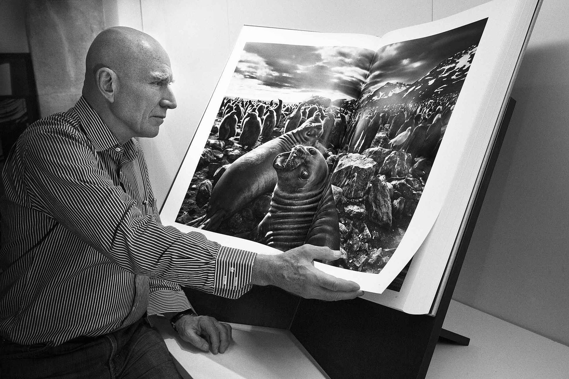 себастьян сальгадо, фотограф себастьян сальгадо