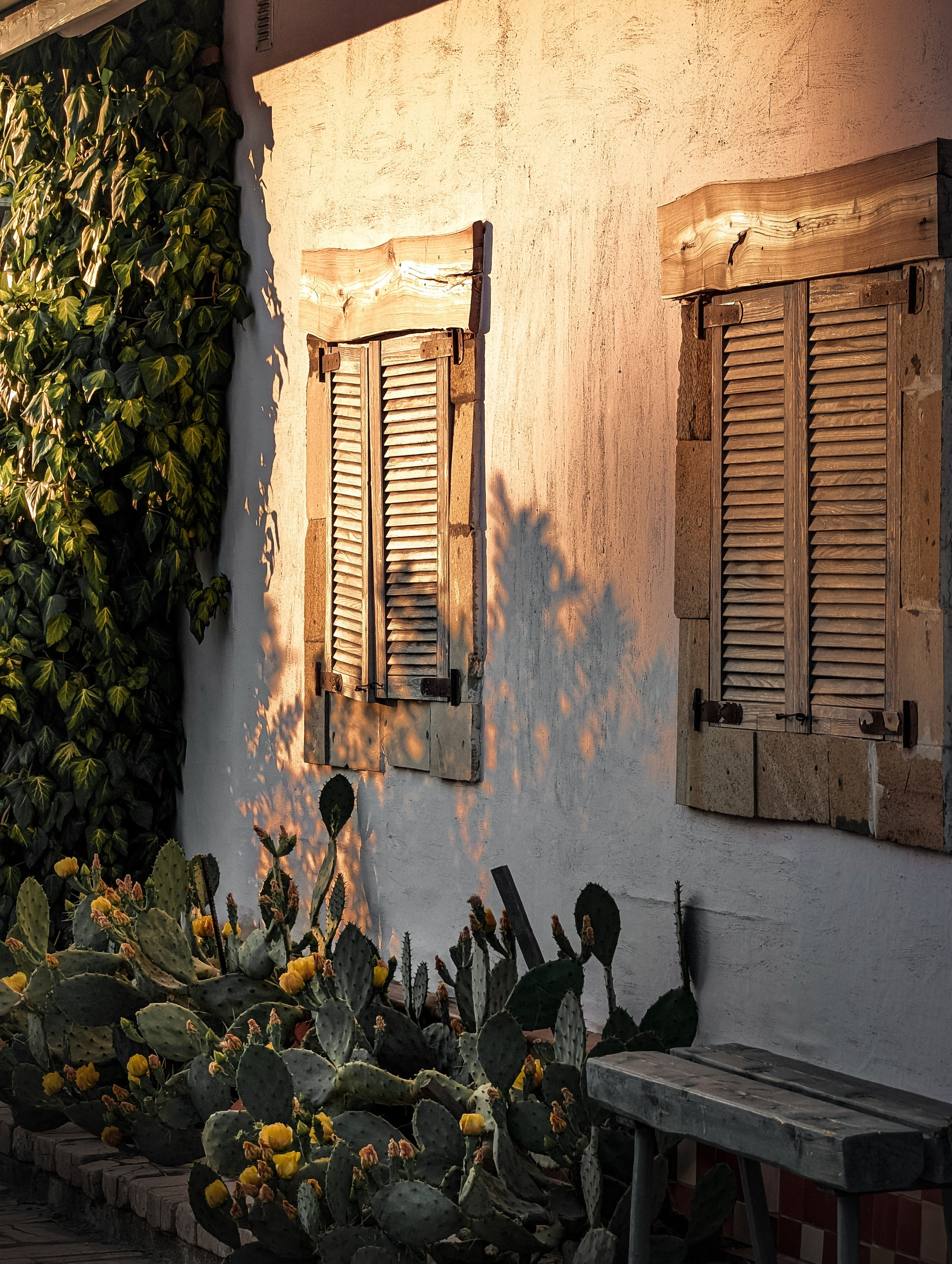 Работы учеников. ФОТОШКОЛА VISION — курс по мобильной фотографии в Москве, курс по фотографии Владимира Васильева