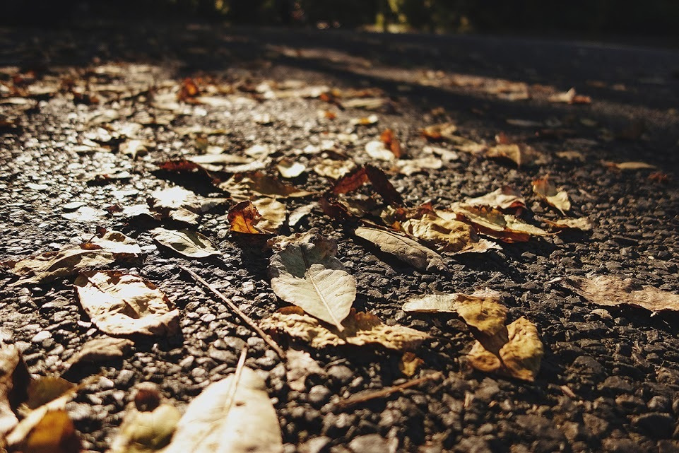 Китай. Ханчжоу. Фотографии, впечатления, эмоции. Фотограф Игорь Цаплин