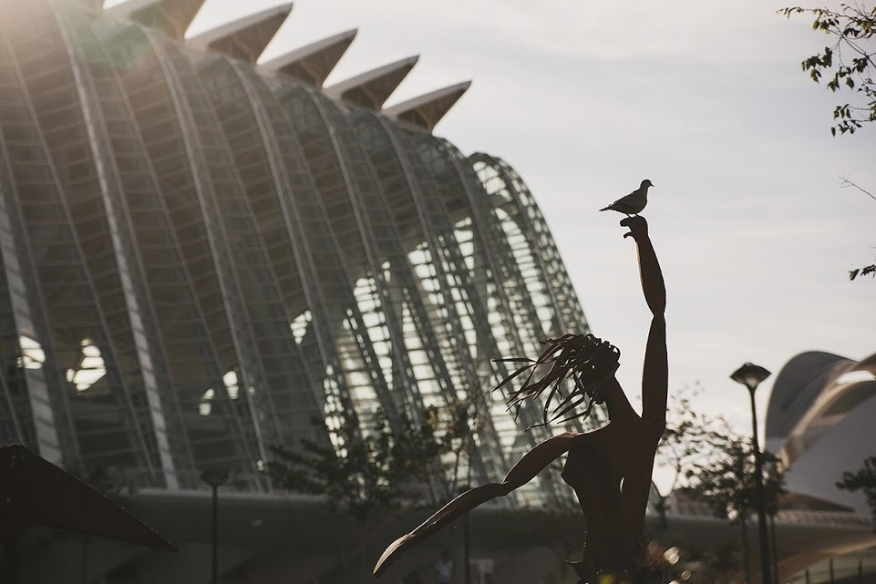 Валенсия. Весна 2013. Фотографии, впечатления, эмоции. Фотограф Игорь Цаплин