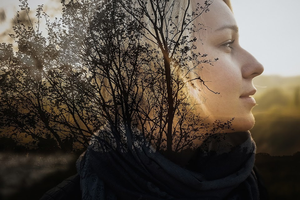 Суздаль. Октябрь 2014. Фотографии, впечатления, эмоции. А так же обзор и отзыв …. Фотограф Игорь Цаплин