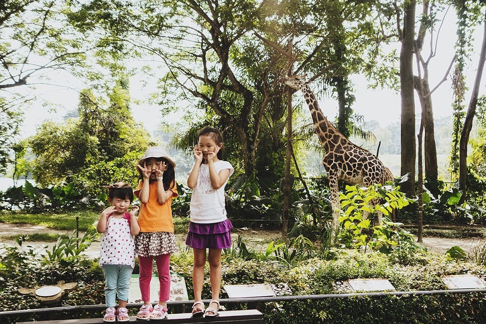 Сингапур. Фотографии, впечатления, эмоции. Фотограф Игорь Цаплин