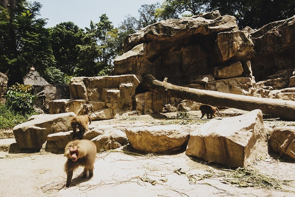 Сингапур. Фотографии, впечатления, эмоции. Фотограф Игорь Цаплин