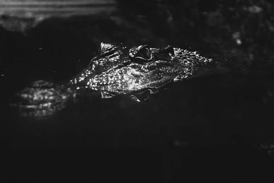 Сингапур. Фотографии, впечатления, эмоции. Фотограф Игорь Цаплин