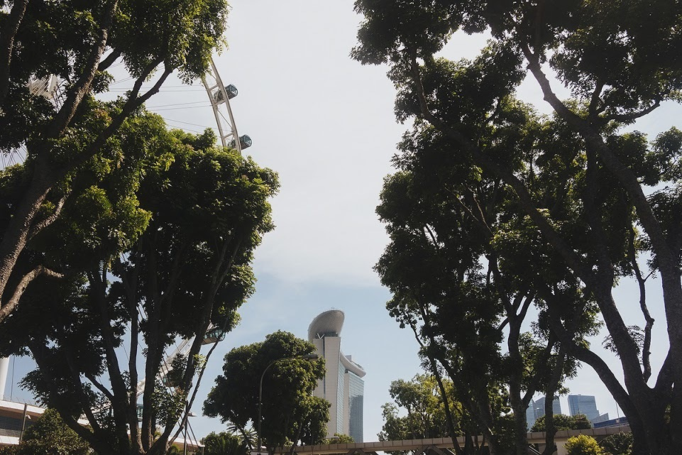 Сингапур. Фотографии, впечатления, эмоции. Фотограф Игорь Цаплин