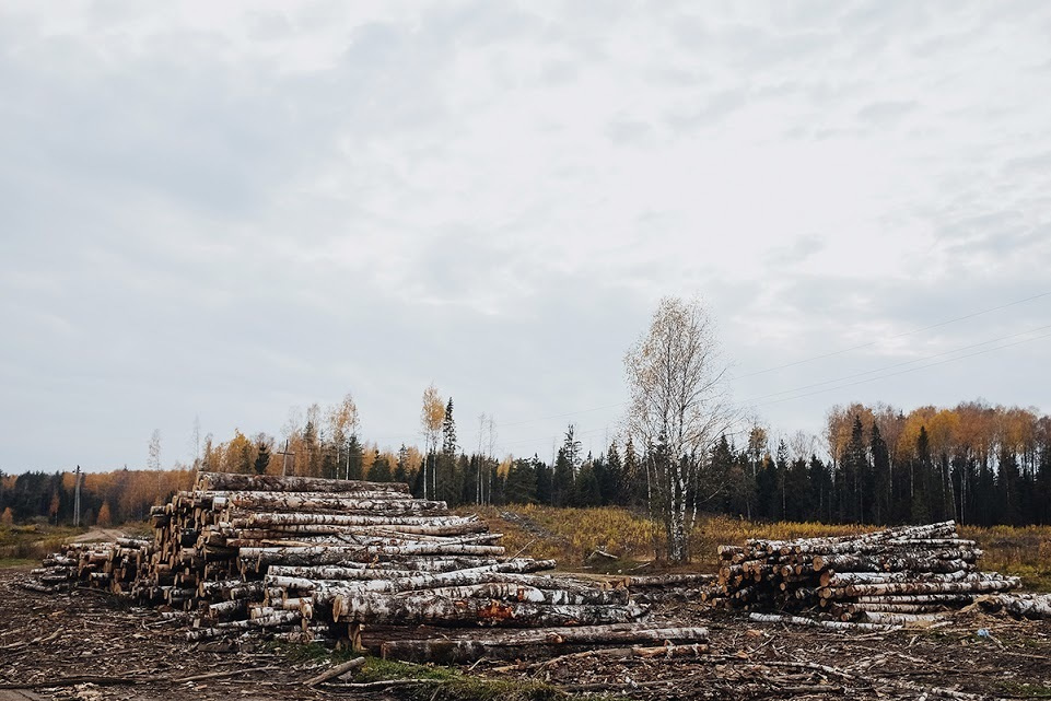 Ростов Великий. Фотографии, впечатления, эмоции. Фотограф Игорь Цаплин