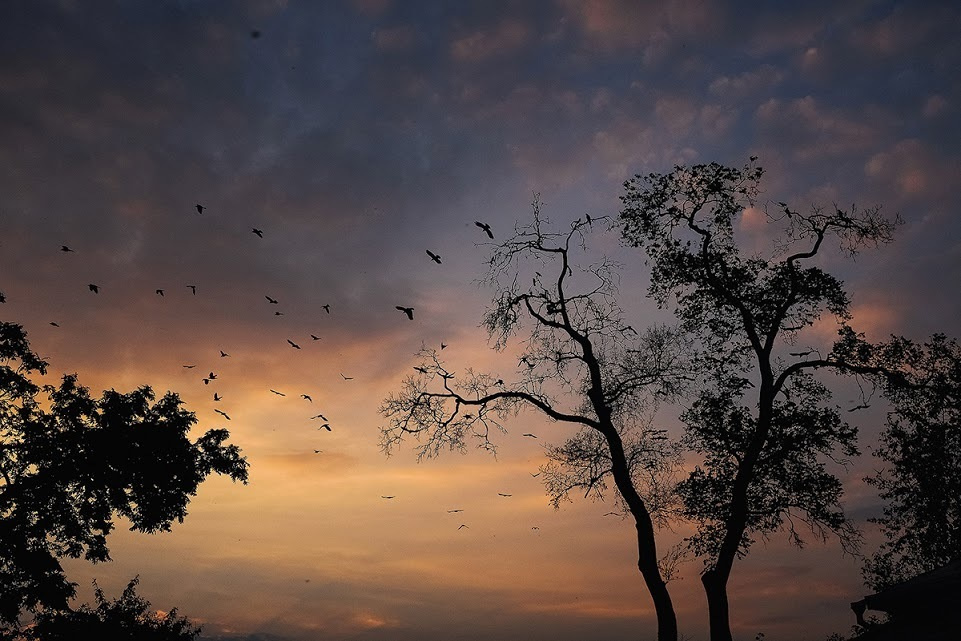 Суздаль. Октябрь 2014. Фотографии, впечатления, эмоции. А так же обзор и отзыв …. Фотограф Игорь Цаплин