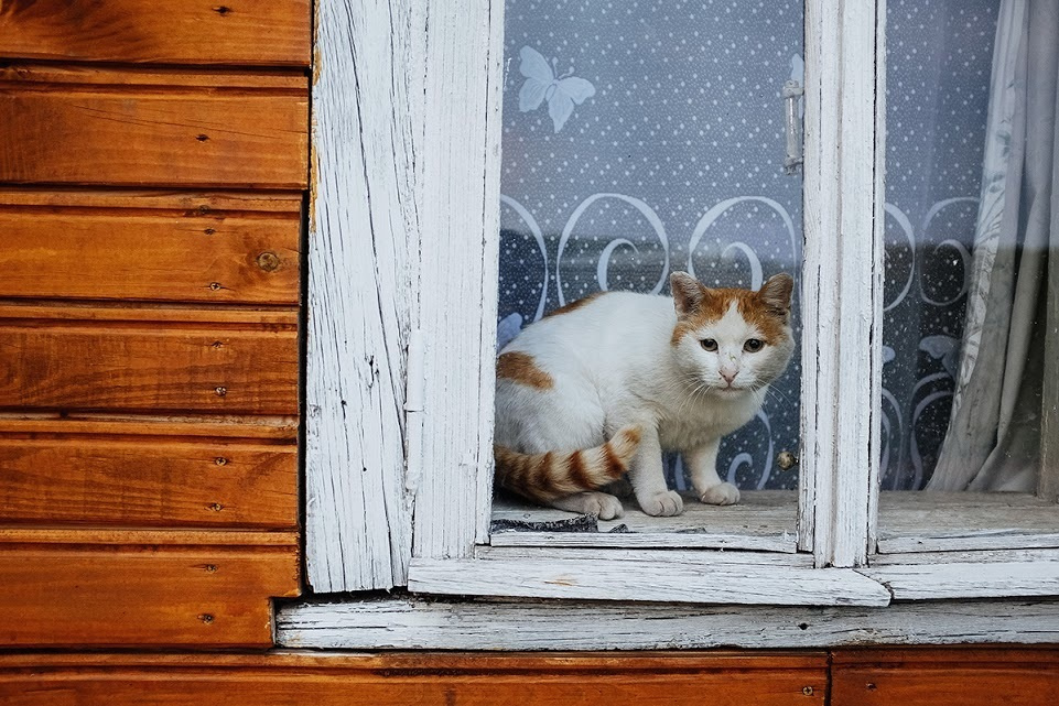 Суздаль. Октябрь 2014. Фотографии, впечатления, эмоции. А так же обзор и отзыв …. Фотограф Игорь Цаплин