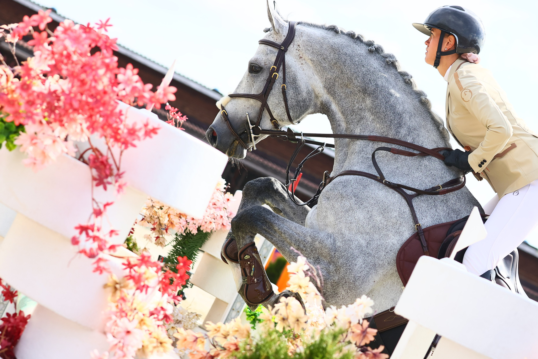 Купить фотографии с турниров. KatymartArt — Equine photography