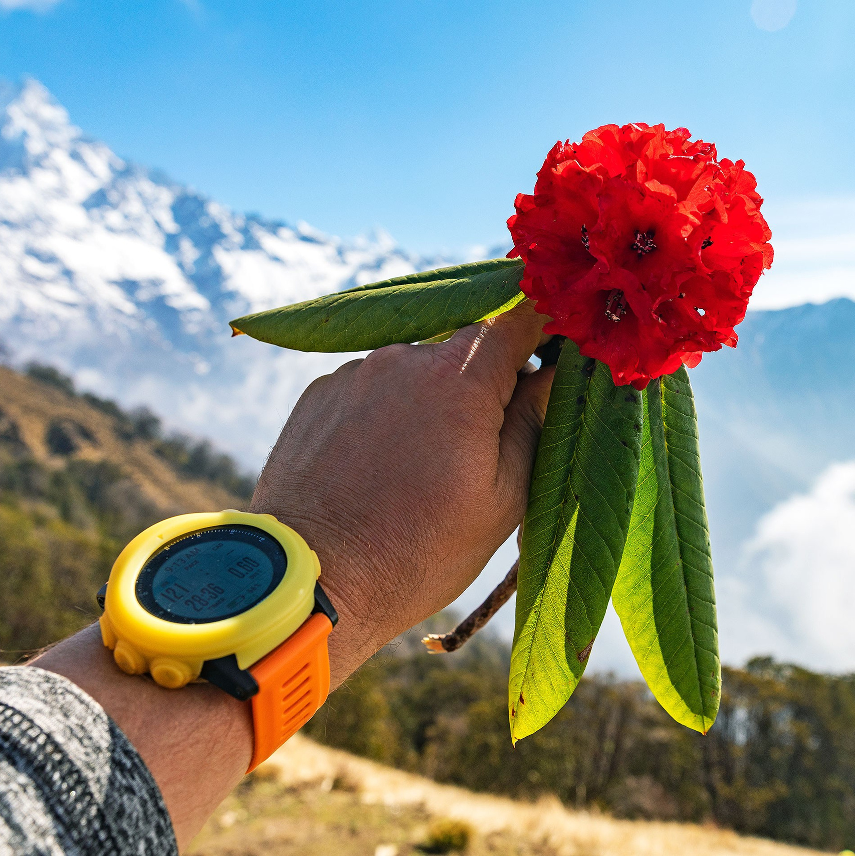 Контакты. Клуб путешествий HimalTrex Горные туры в Гималаи Непал