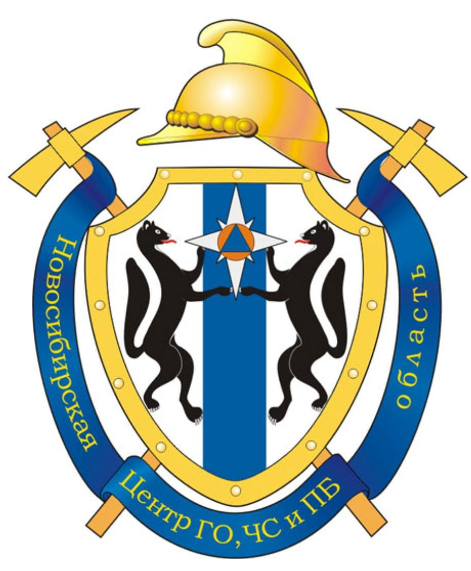 Детские программы Школа безопасности Новосибирск