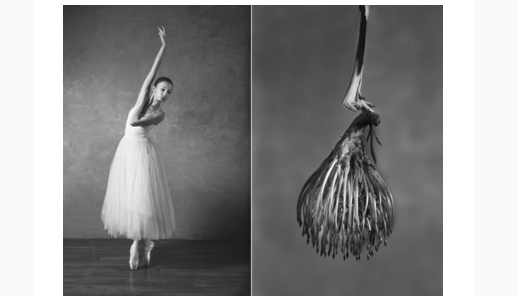 Press — CameraLabs