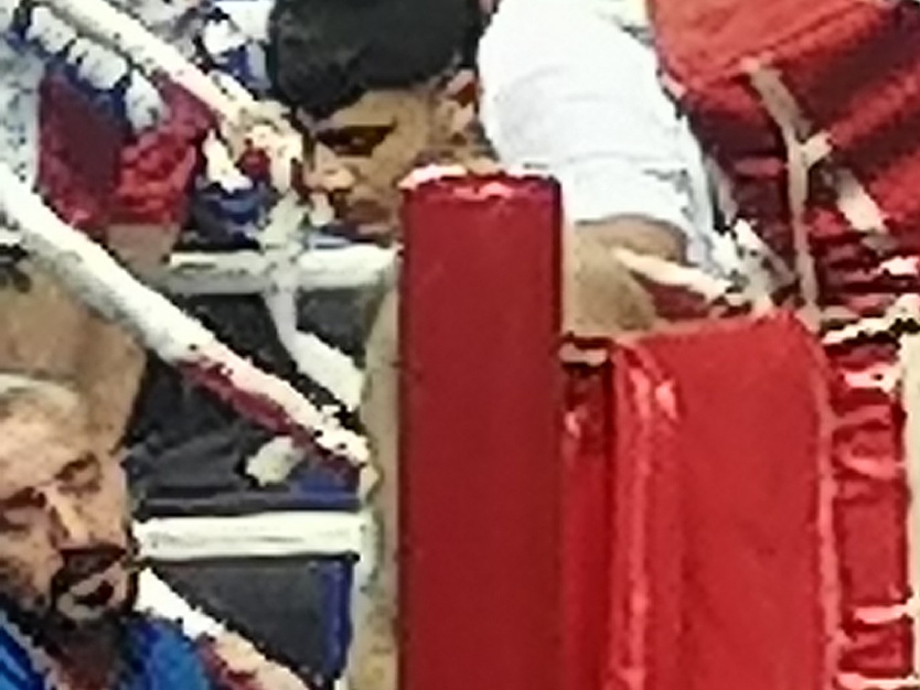 Рисунок телефона. Фотограф Екатерина Веденина