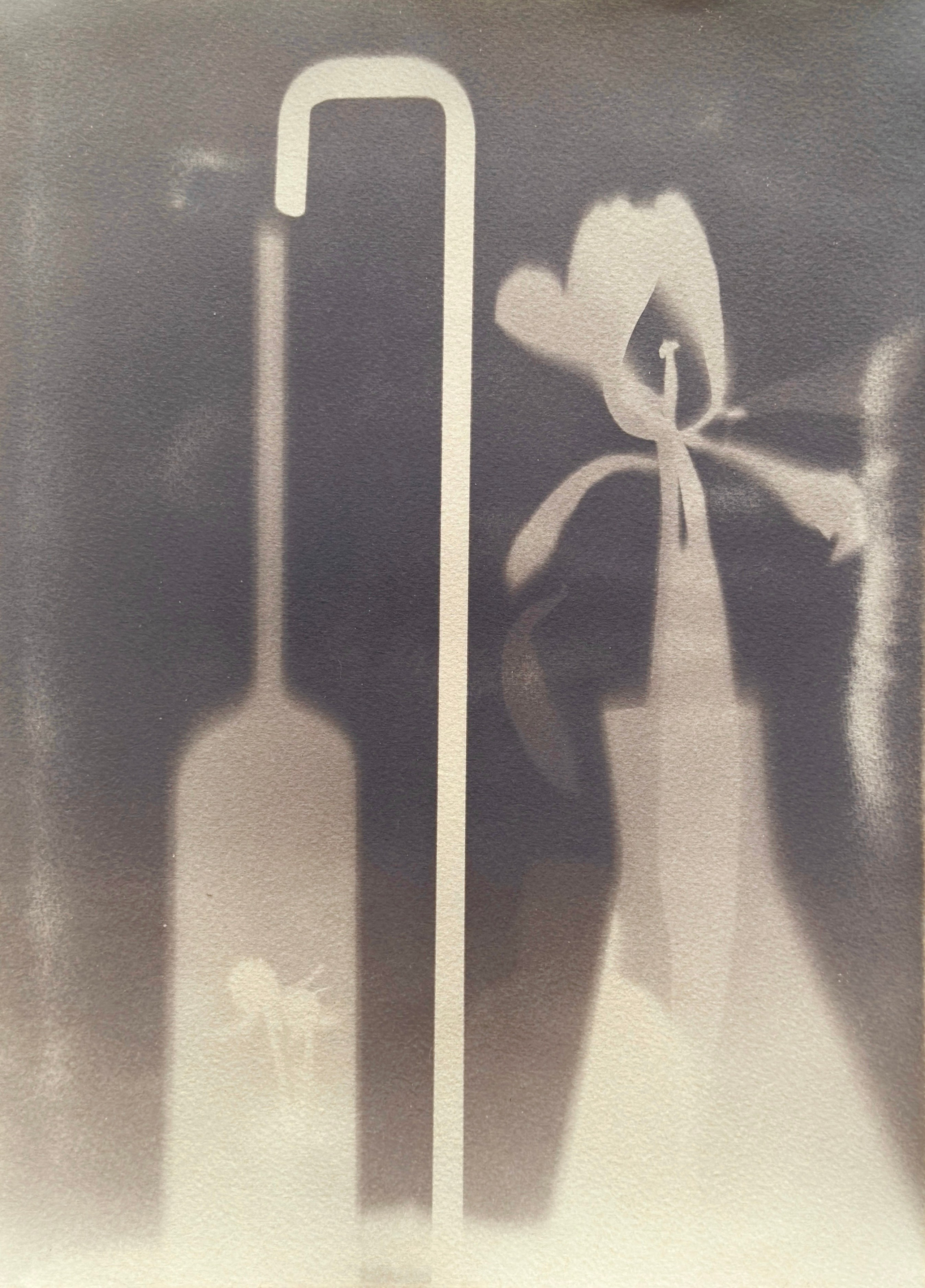 Имитации. Artist Dina Lepchenkova