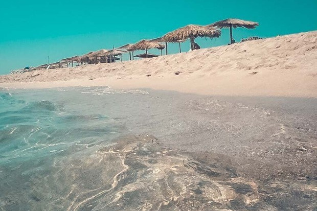 Коса Беляус. Продажа участков.