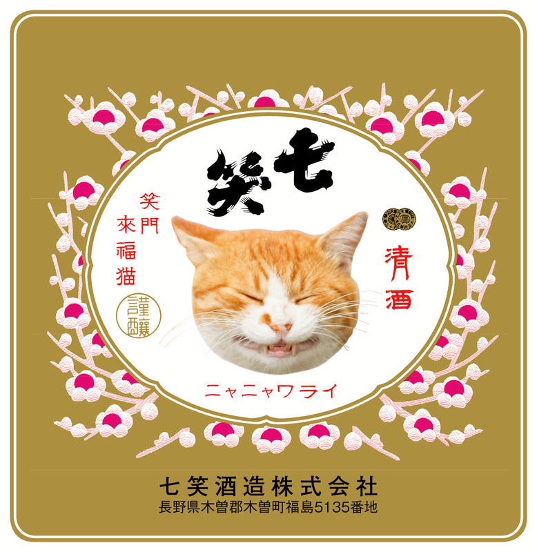 Кошачий фотограф, «смеющаяся» кошка Масаюки Оки — это саке. Фотограф — видеограф в Москве Дмитрий Менделеев