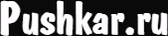 pushkar.wfolio.pro