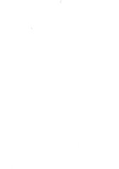 arbuzstudio.wfolio.pro