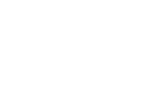 vasiliyzabelin.com