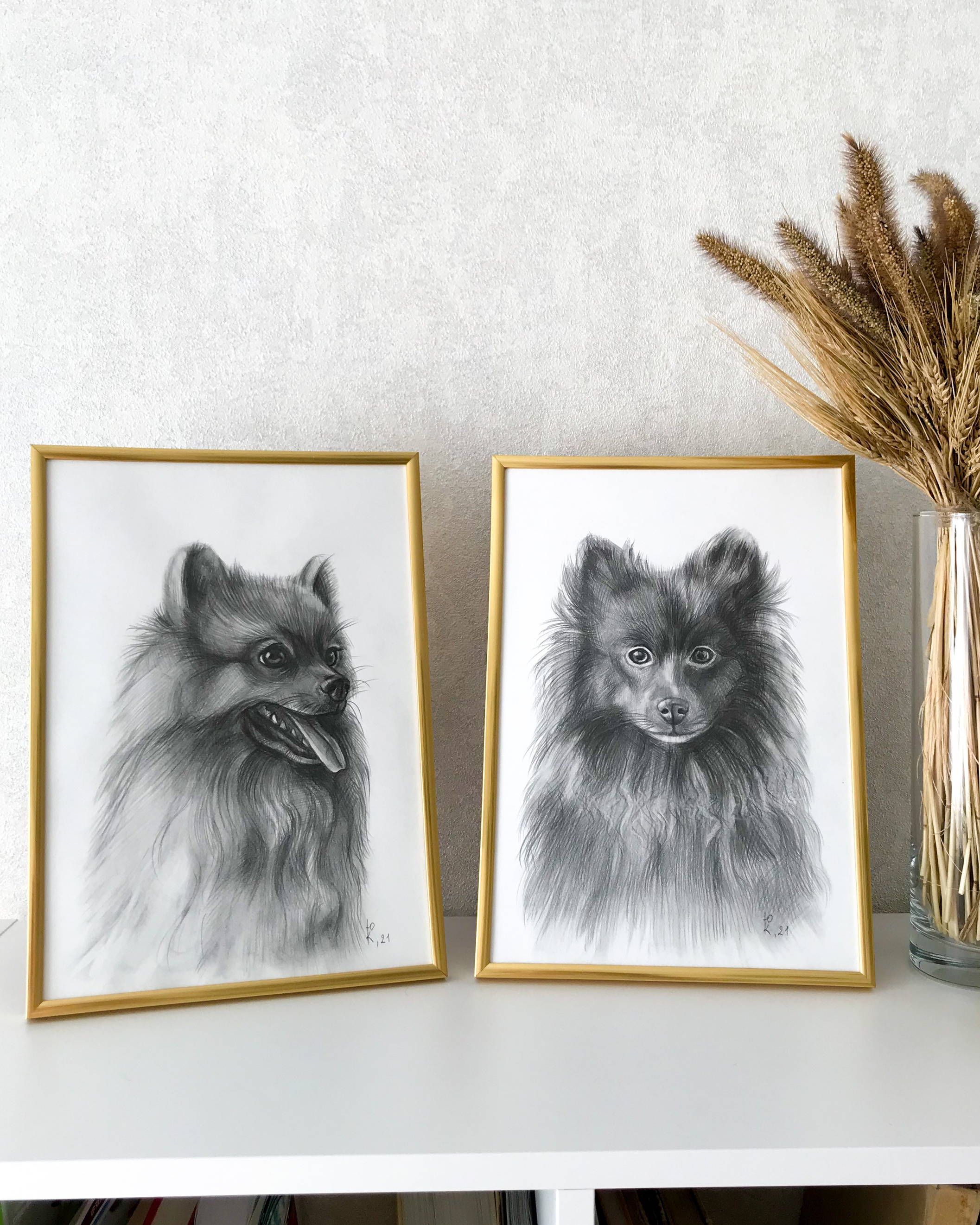 YULA KOLESOVA | Фотограф — Анималист | Художник | Тюмень