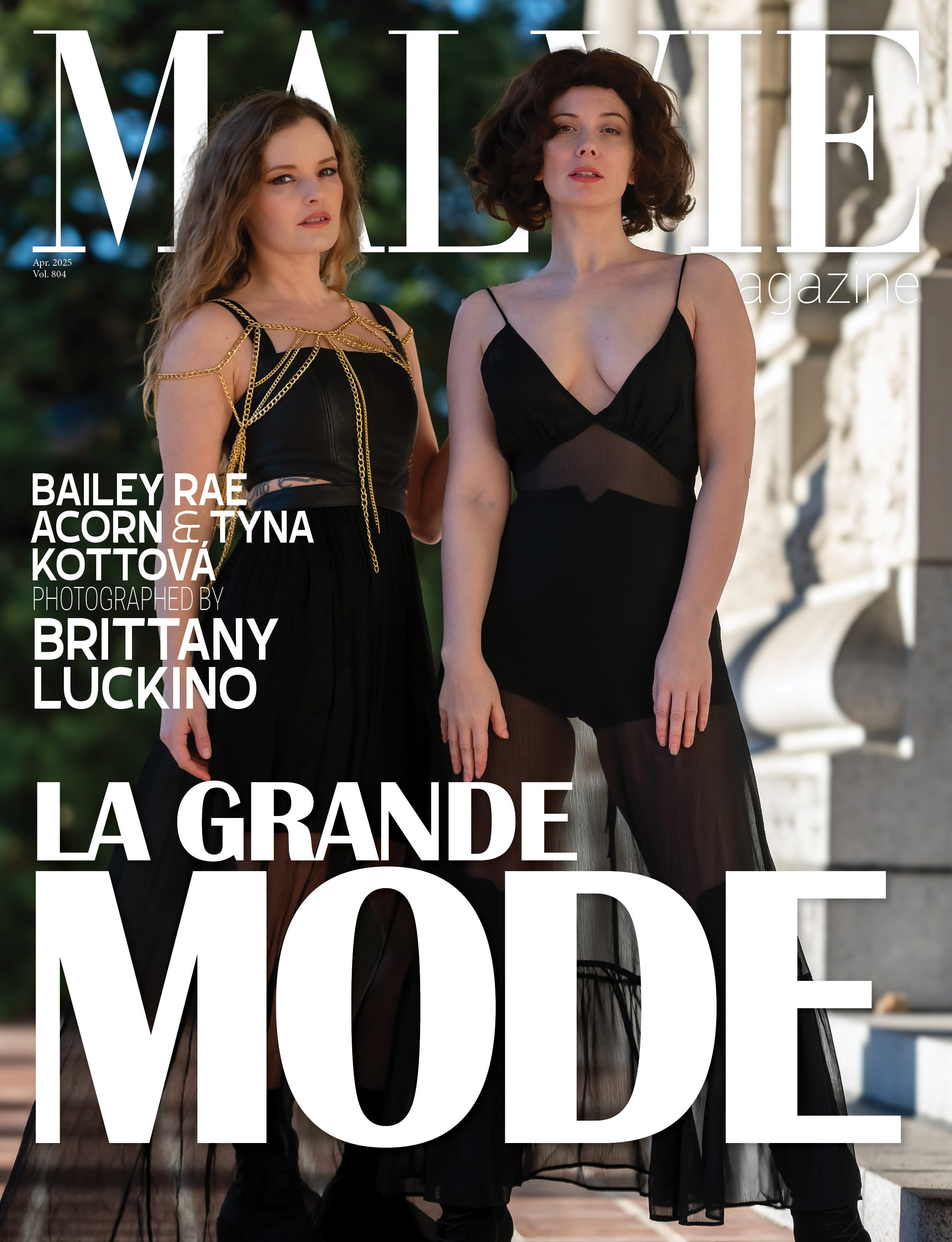 Публикация в модном глянцевом журнале