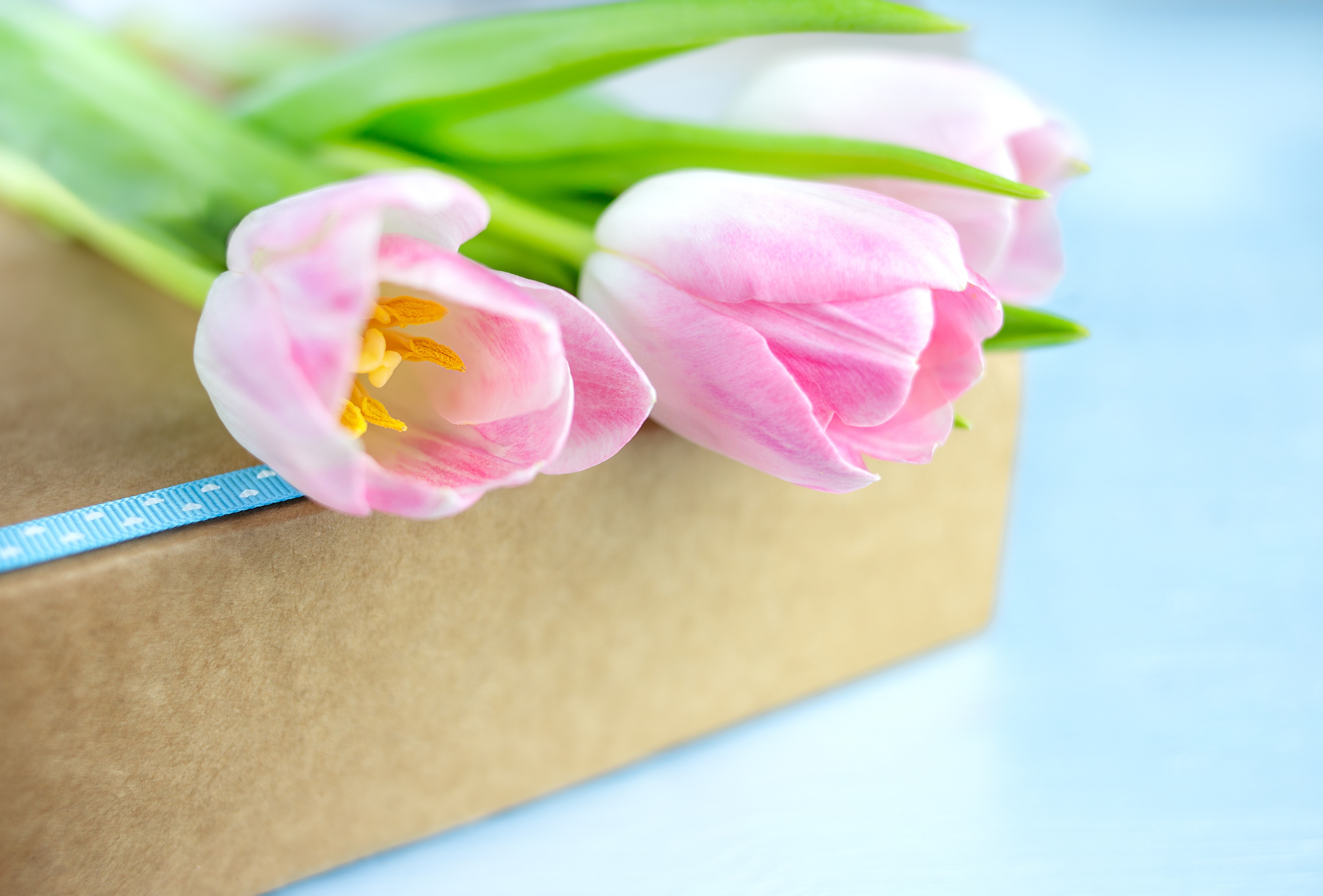 Мультиссылка