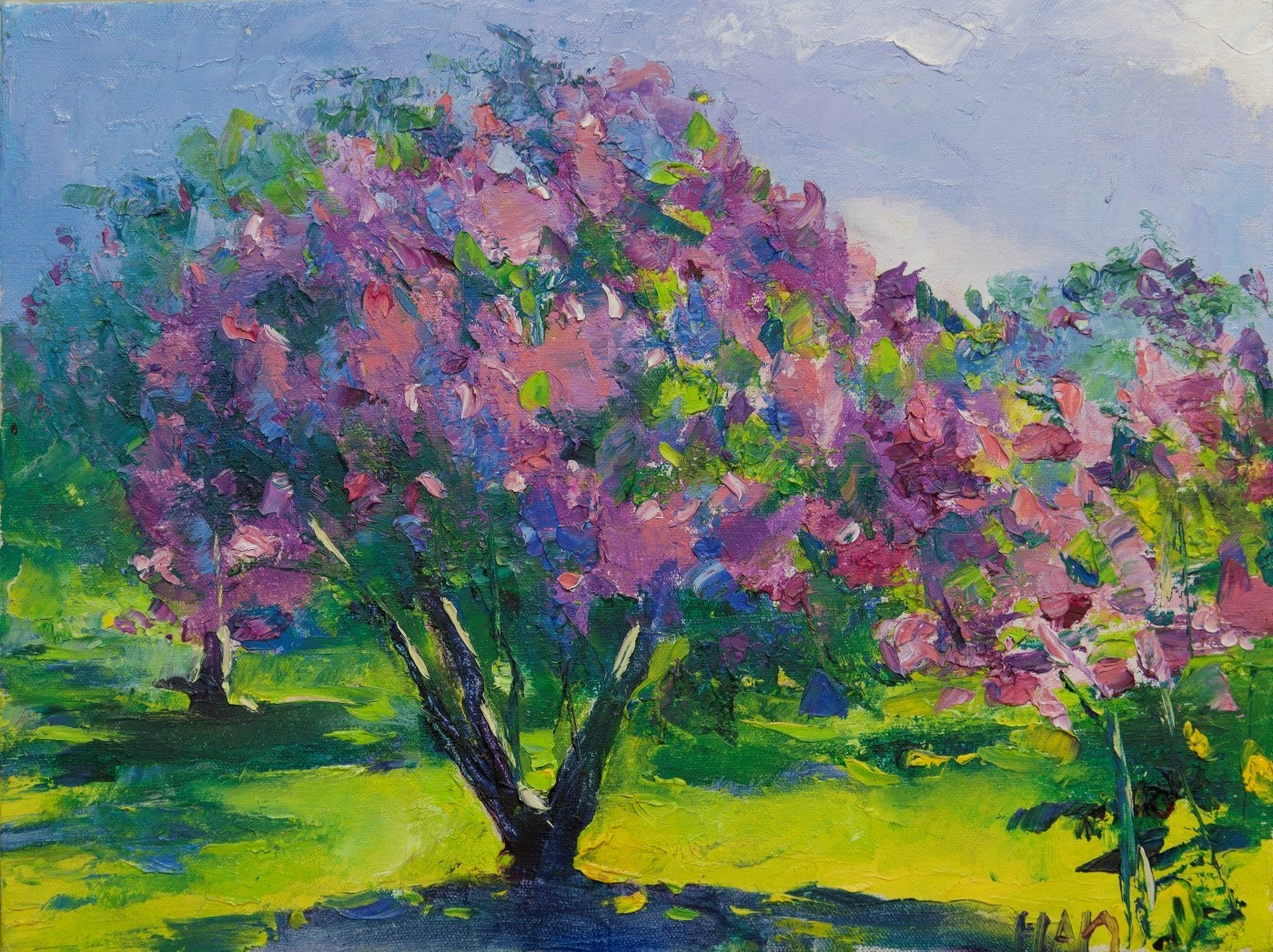 GALLERY. OLGA HAN GALLERY