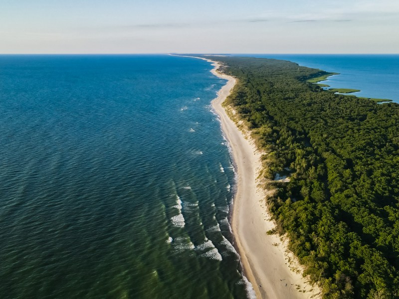Калининград и Калининградская область. AI-контент (генерации ИИ-фото и видео), стоковые фотографии Калининградской области