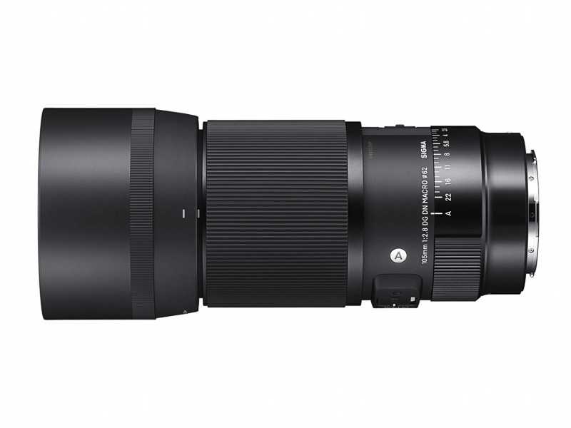 Обновлен «SIGMA 105 mm F2.8 DG DN MACRO | Art». Фотограф — видеограф в Москве Дмитрий Менделеев