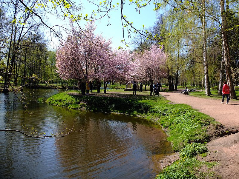 Календарь Цветения в Санкт-Петербурге. Отличные фотографии своих близких, своего бизнеса или даже себя. СПб