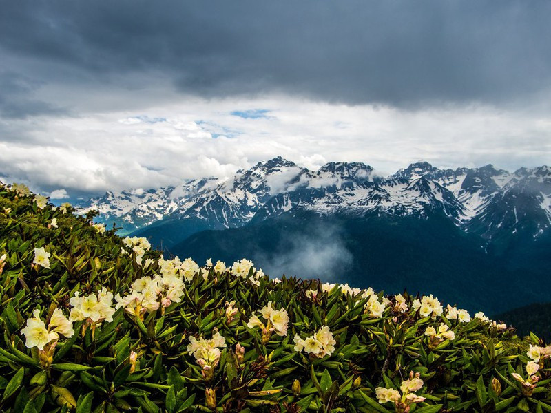 Впечатления и экскурсии в Петербурге, Москве, Казани и Сочи