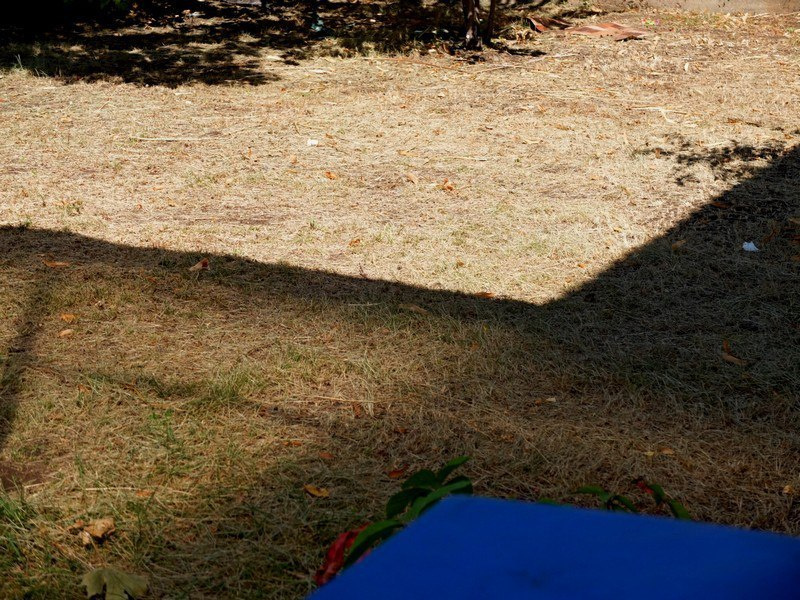 «Добраться до истоков фотографии»: Марина Кейлина о контакте с реальностью и тв…. Школа психологической фотографии Refflector