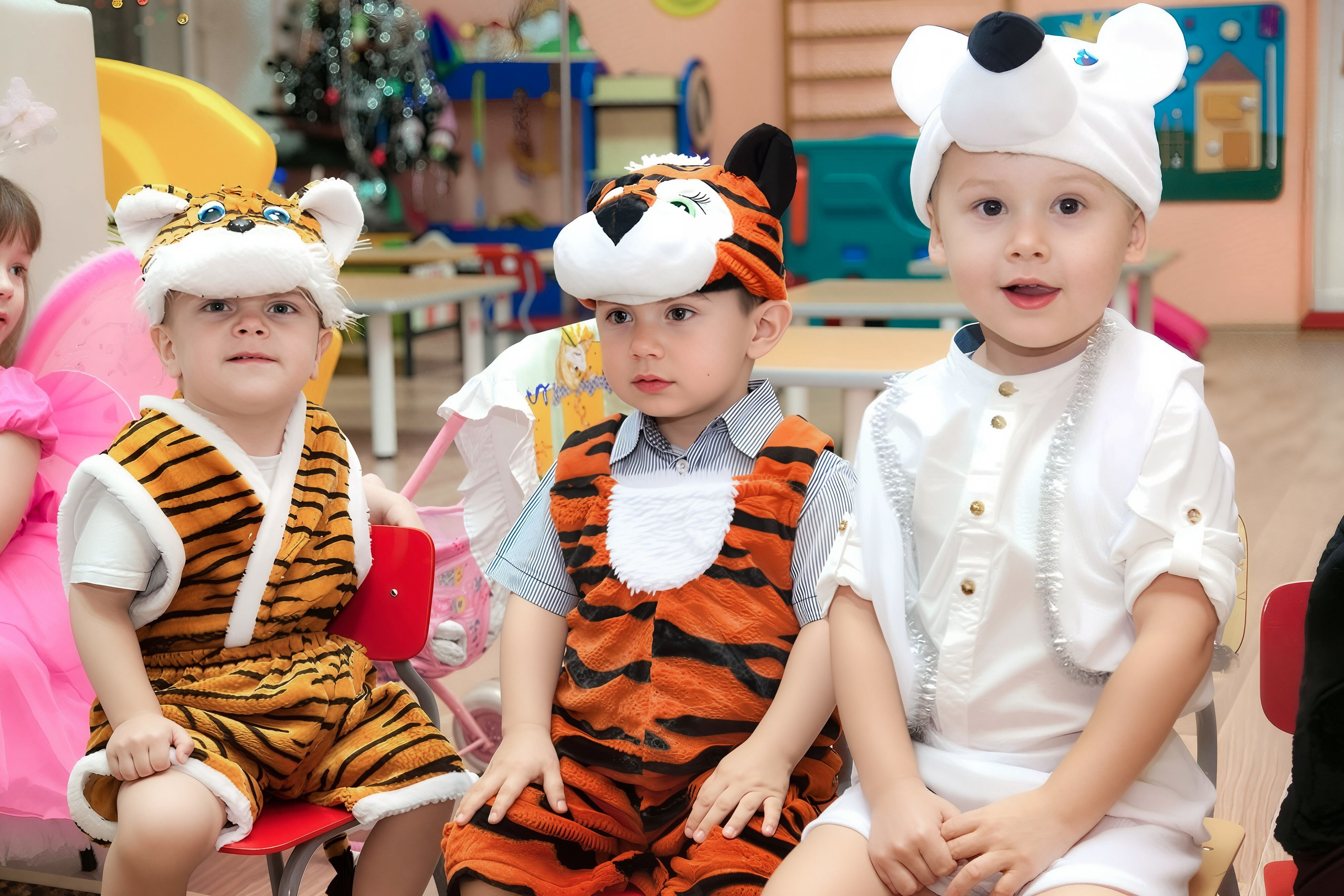 Садик-Школа. ФотоВидеоСъемка свадеб и мероприятий