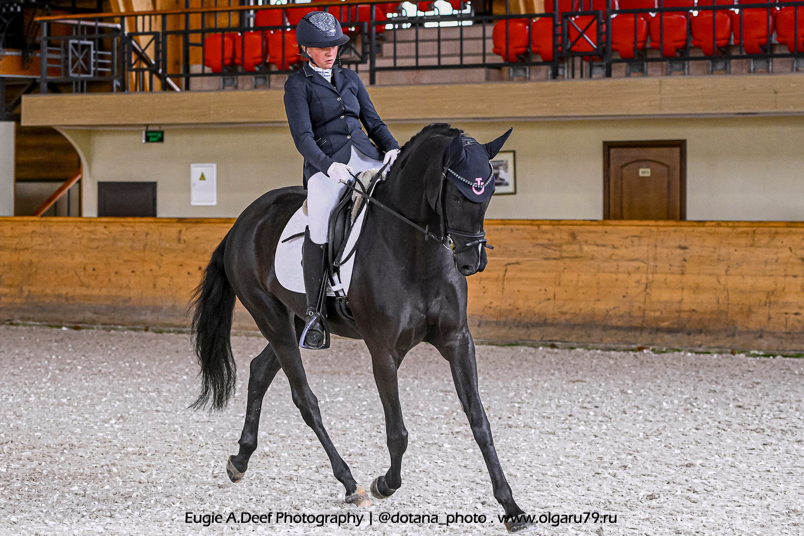2025.10.18 — КСК Пегас — выездка. ТУРНИРНАЯ КОННАЯ ФОТОГРАФИЯ, Руднева Ольга и Евгений Адеев
