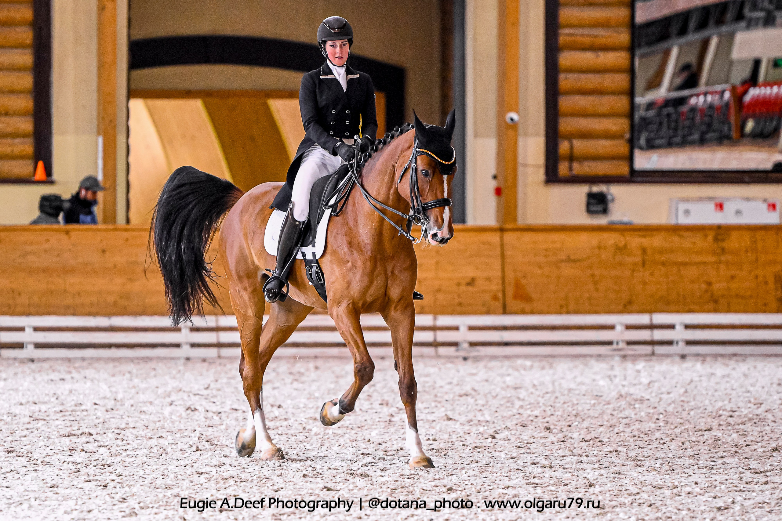 2025.10.18 — КСК Пегас — выездка. ТУРНИРНАЯ КОННАЯ ФОТОГРАФИЯ, Руднева Ольга и Евгений Адеев